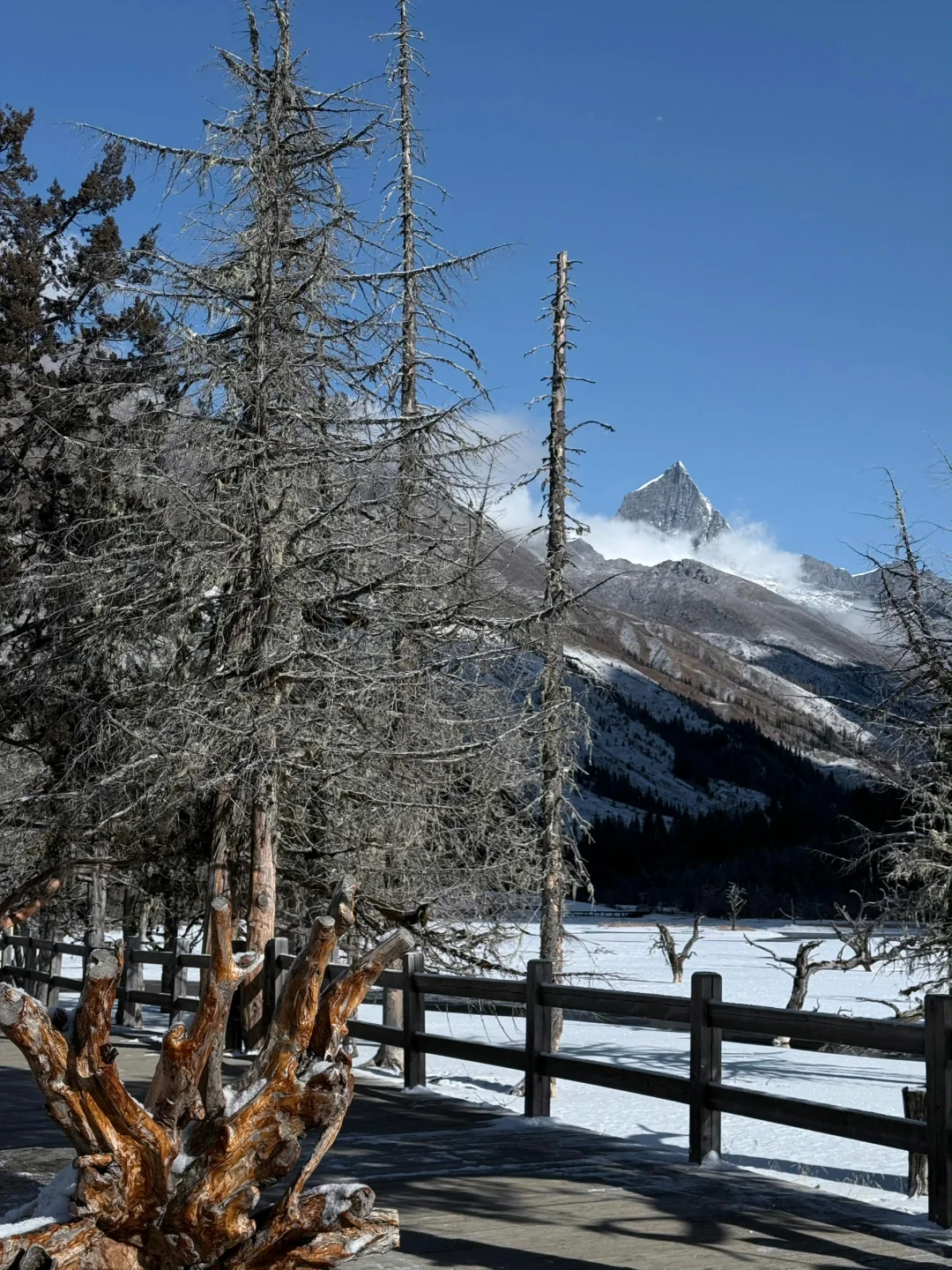 2.3📍四姑娘山已回,live实况直出,劝退不了