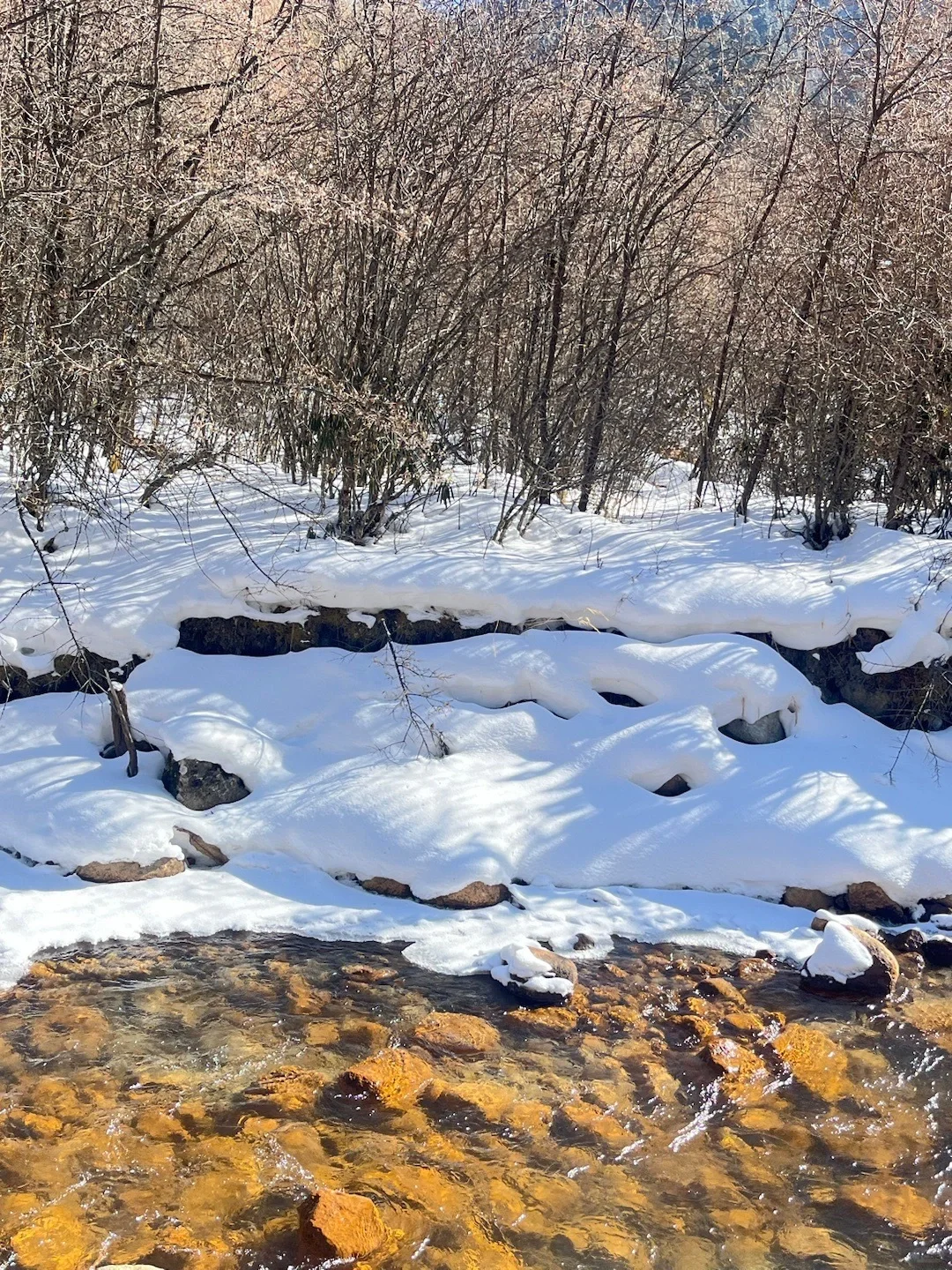 2.3📍四姑娘山已回,live实况直出,劝退不了