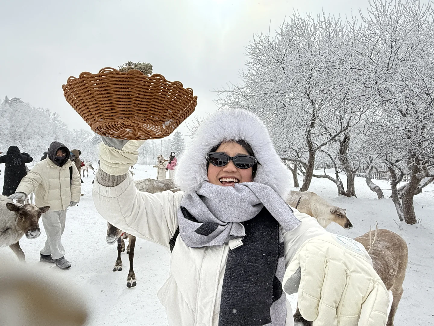 雪岭来了❗️被狠狠收拾了❗️❗️
