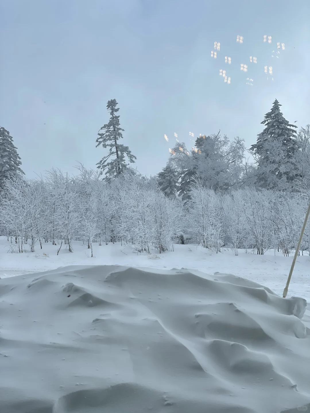 雪岭来了❗️被狠狠收拾了❗️❗️