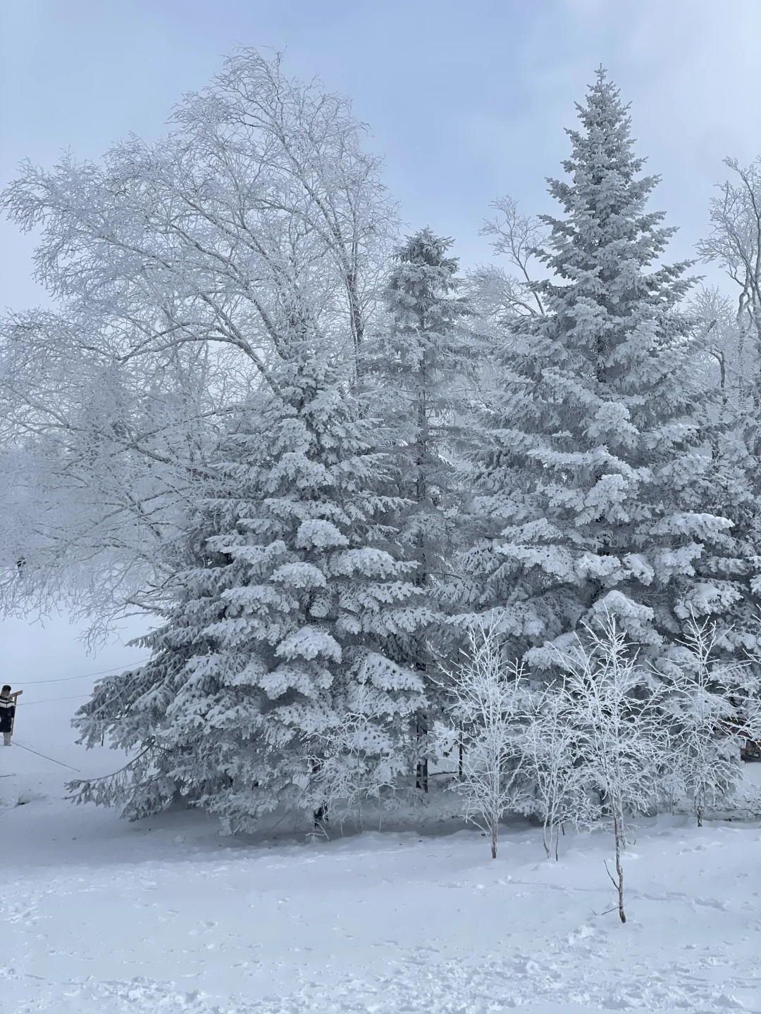 雪岭来了❗️被狠狠收拾了❗️❗️