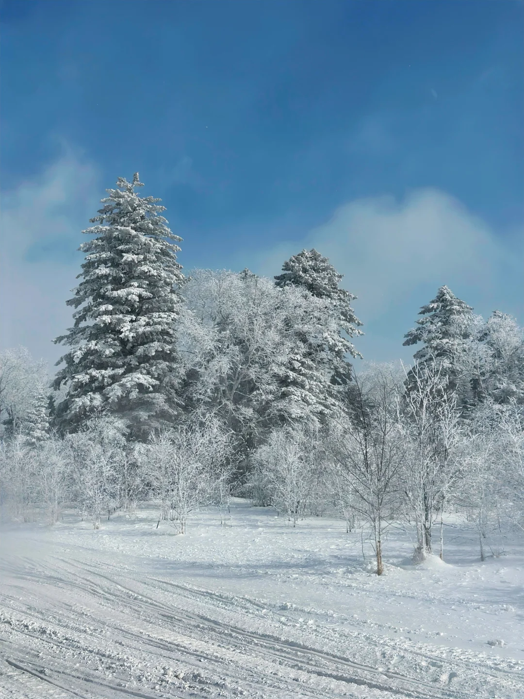 雪岭来了❗️被狠狠收拾了❗️❗️