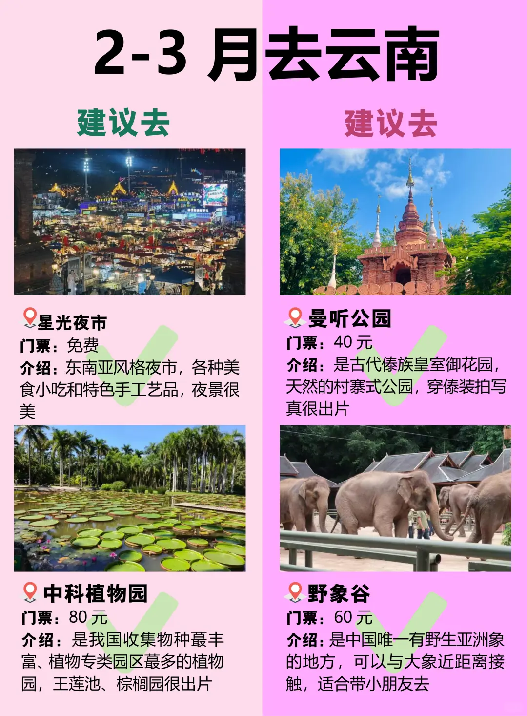 2-3月去云南怎么玩❓快码住这篇攻略❗️