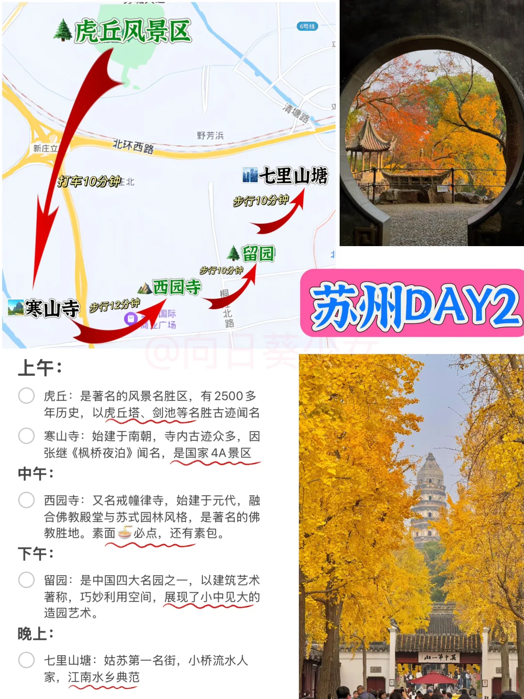 江浙沪7天6晚自由行省钱攻略！冲鸭～