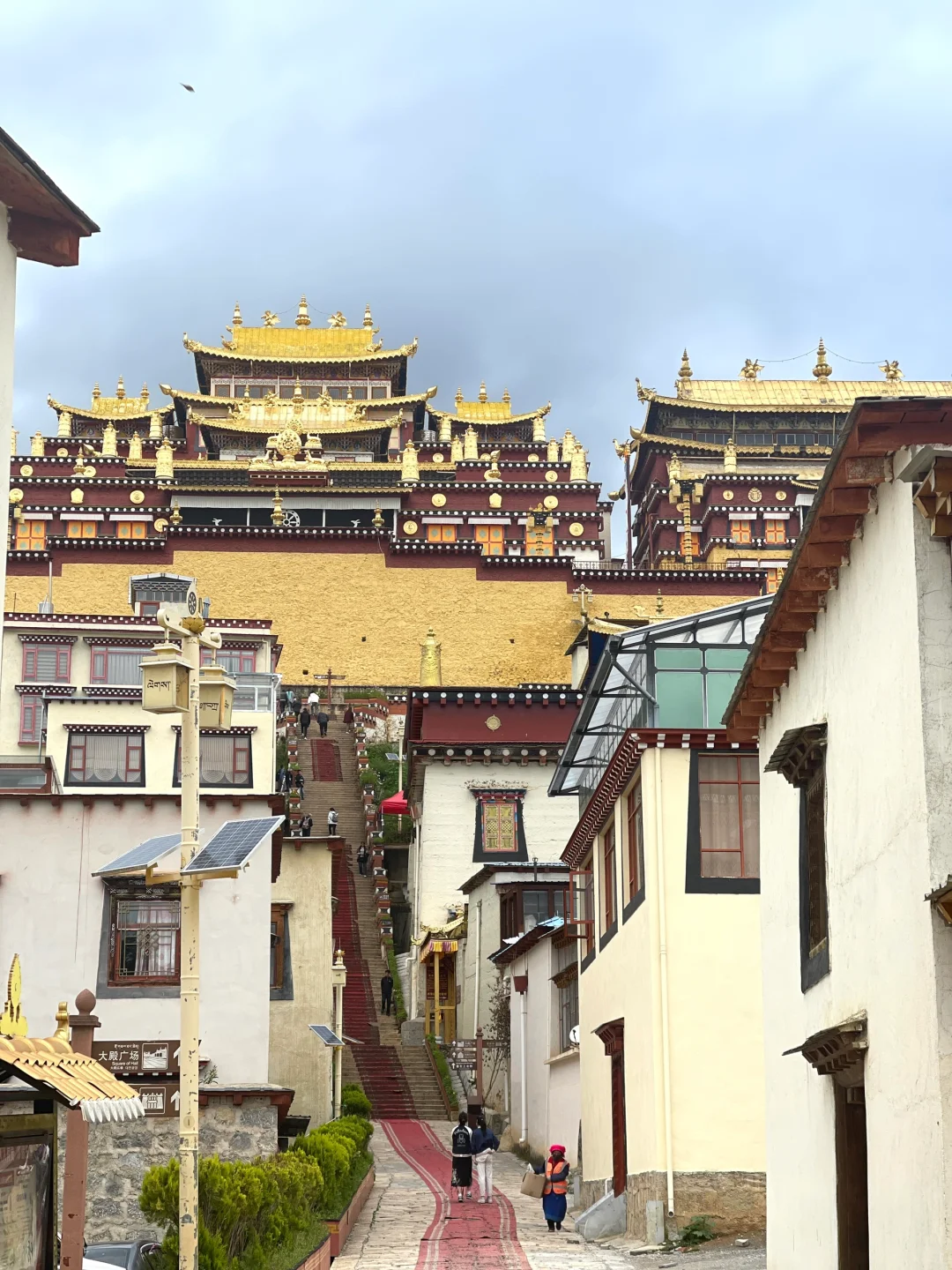 带娃云南旅游8天行程全攻略！❤️附详细路线