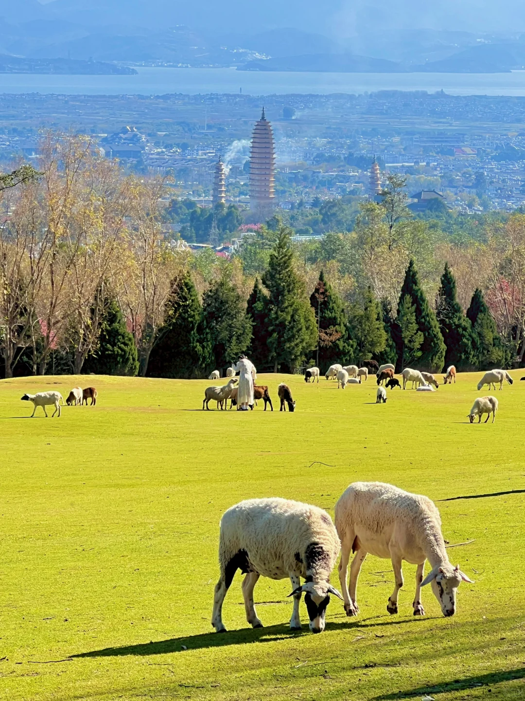 大理我很喜欢的一个地方，真的像新西兰！