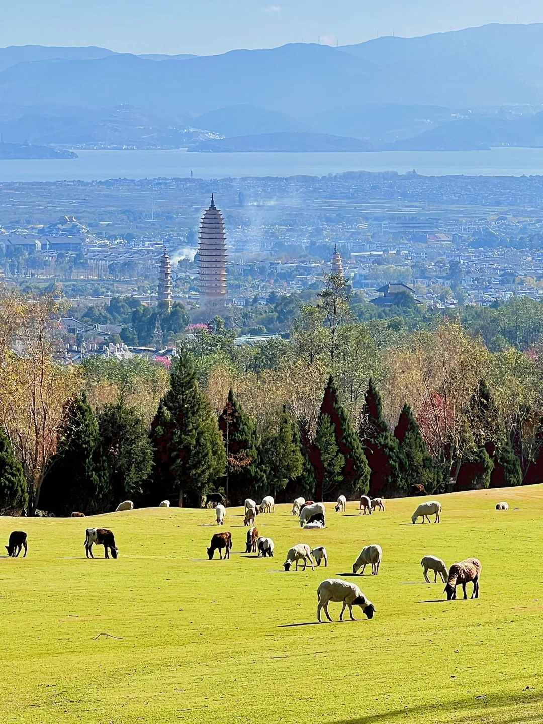 大理我很喜欢的一个地方，真的像新西兰！