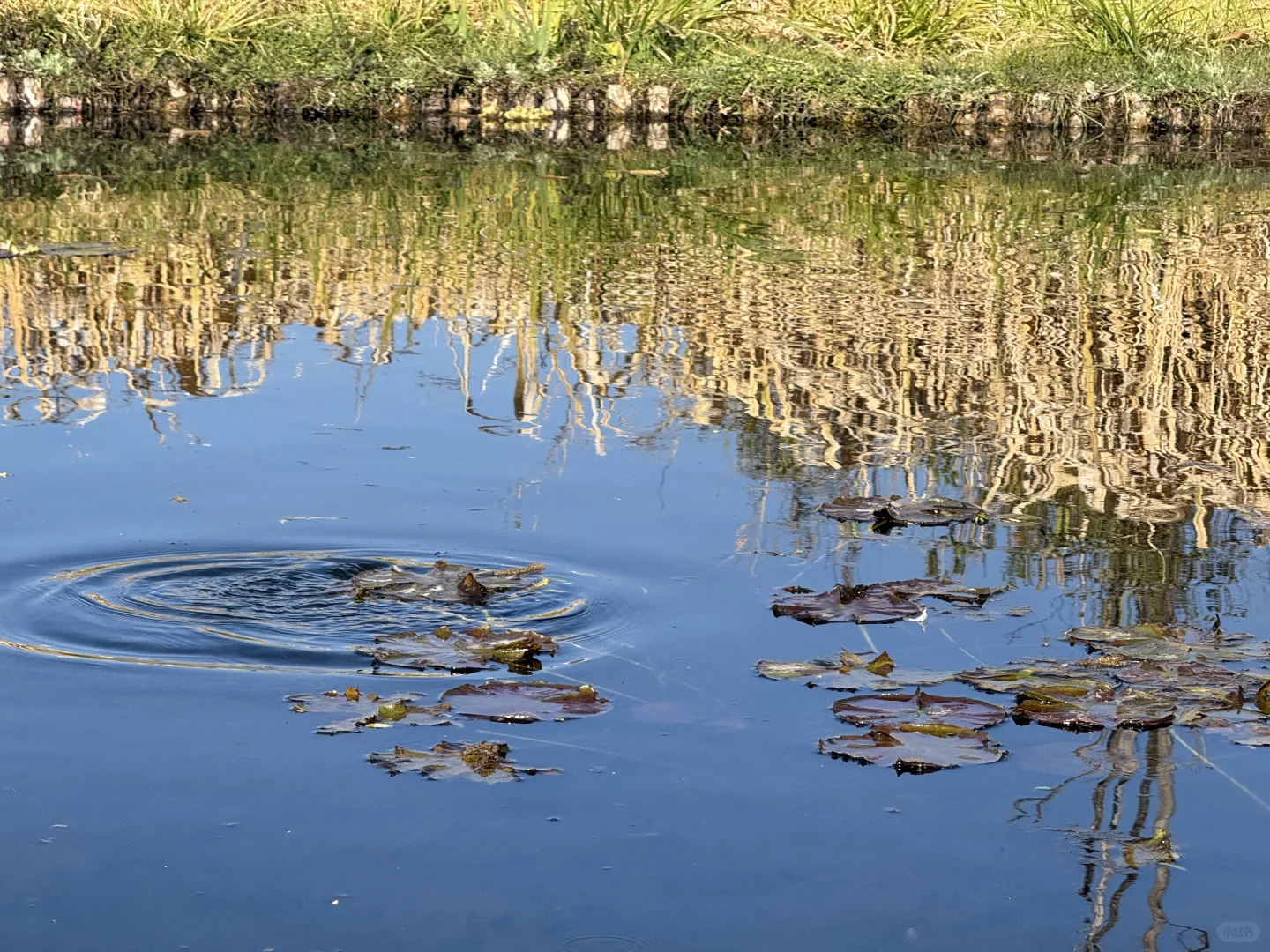 腾冲 | 和顺古镇吸氧指南🌳