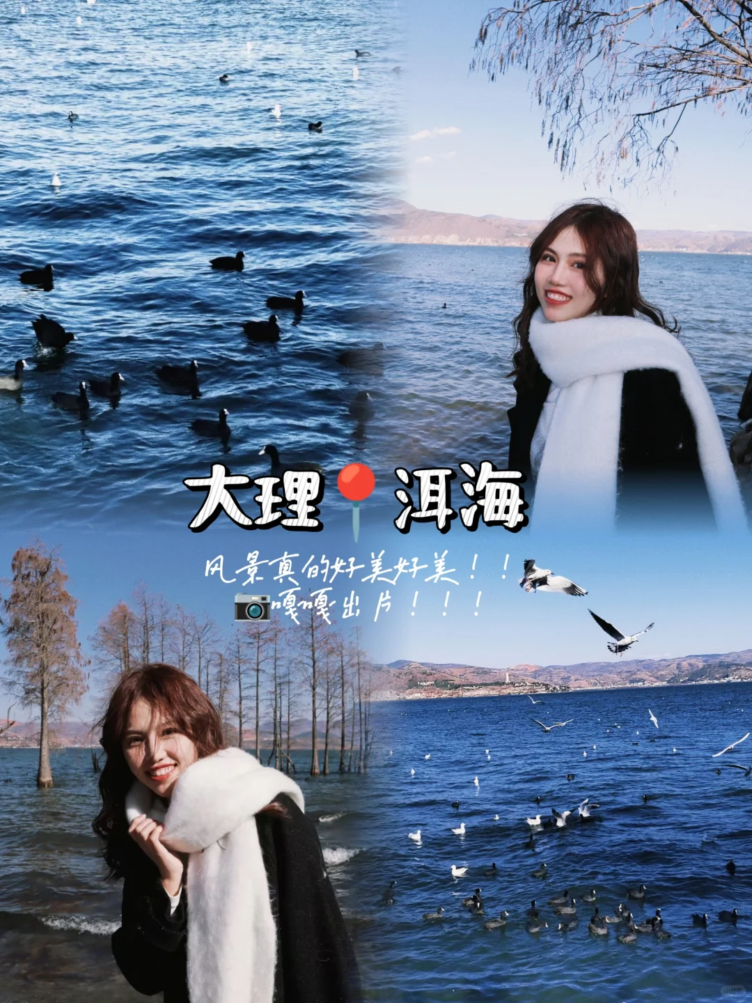 大理📍3天2晚旅游攻略 （懒人照抄！😭