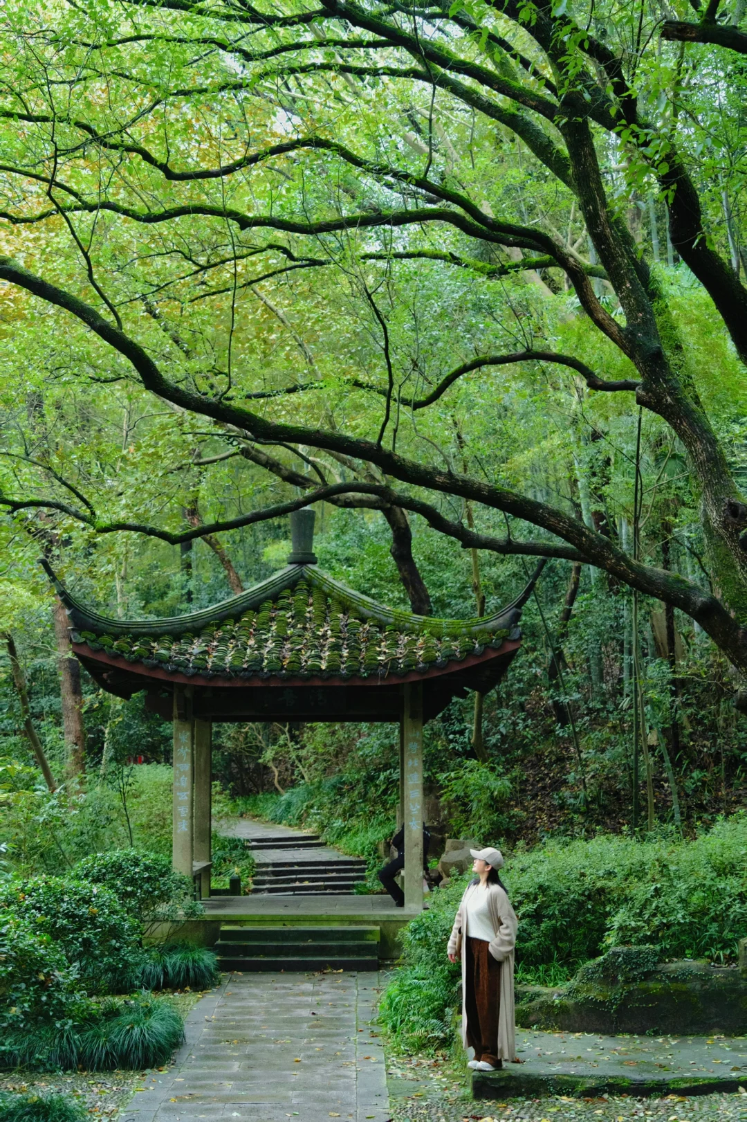 真的没人！西湖走过最舒服的city walk路线！