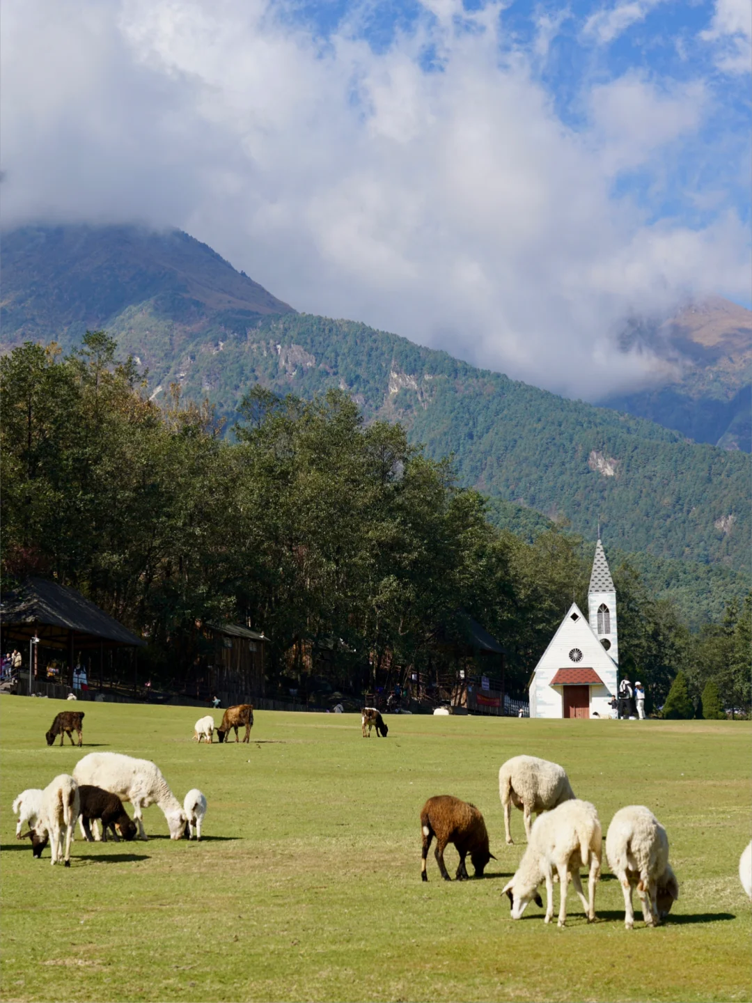 大理我很喜欢的一个地方，真的像新西兰！