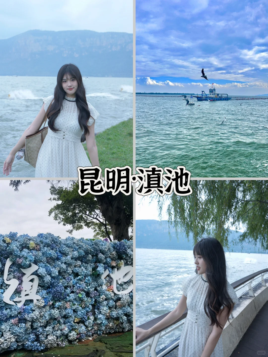 昆明大理旅游攻略（J人女大学生超详细版）