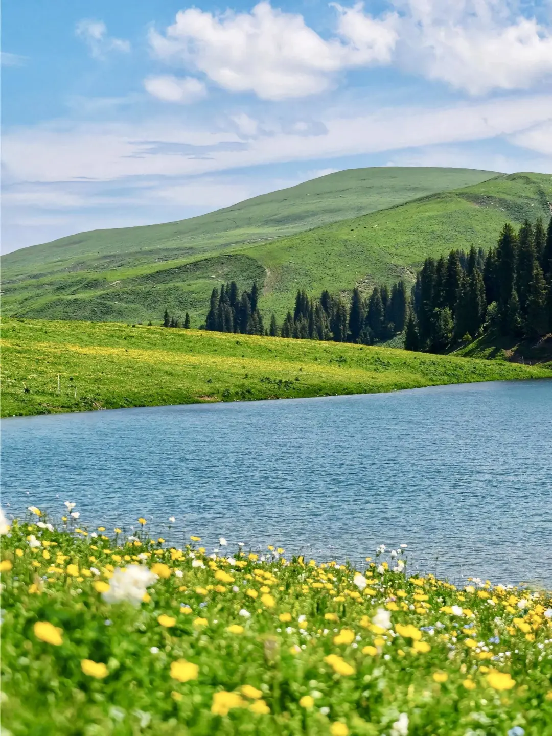 6-8月千万别去新疆伊犁！真的后劲大过失恋