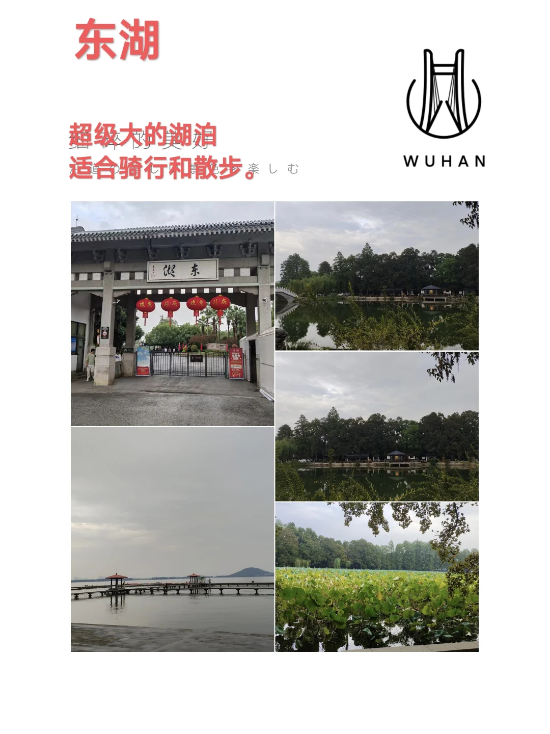 我想去武汉旅游了✈️武汉旅游全攻略