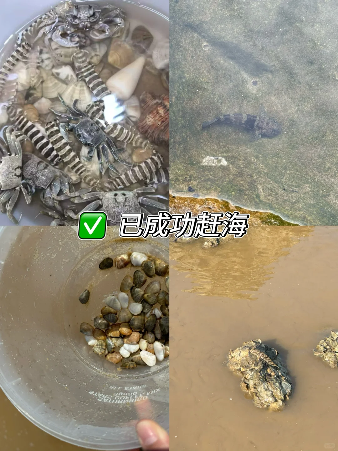 海陵岛旅游结束啦·一张门票也没买！