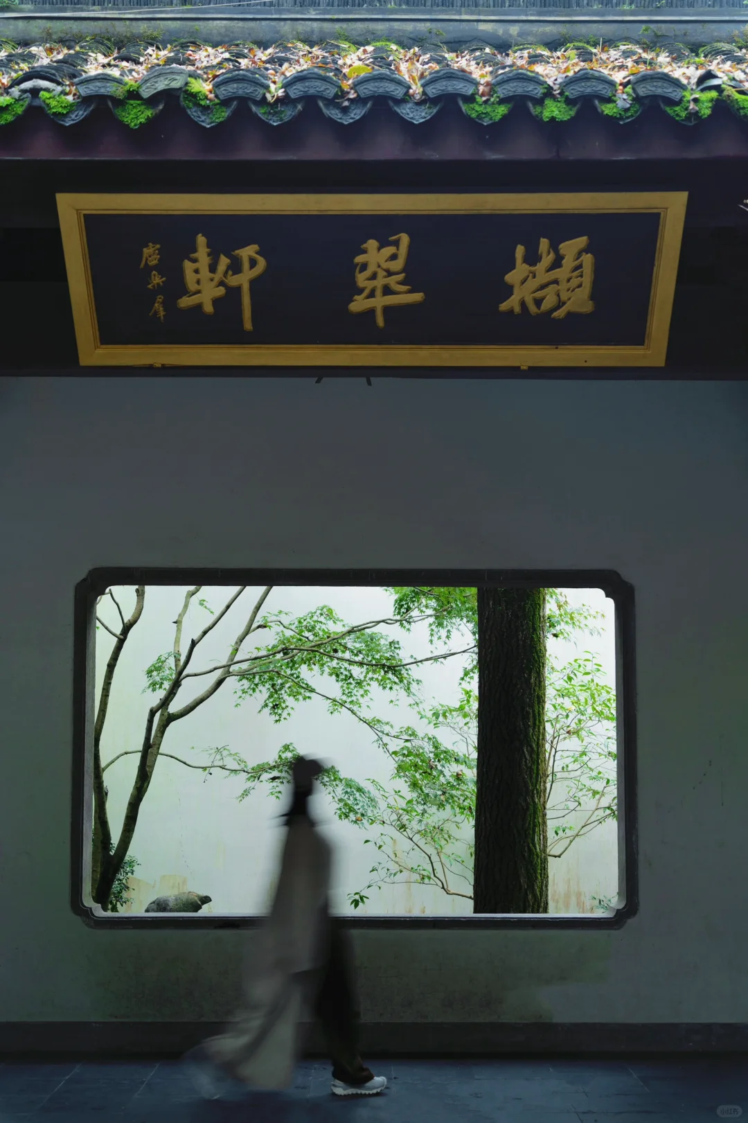 真的没人！西湖走过最舒服的city walk路线！