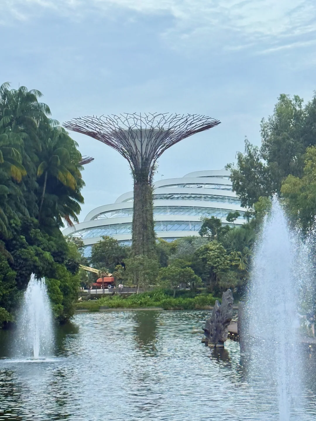 为了这18张照片…我特意飞趟新加坡✈️值得么