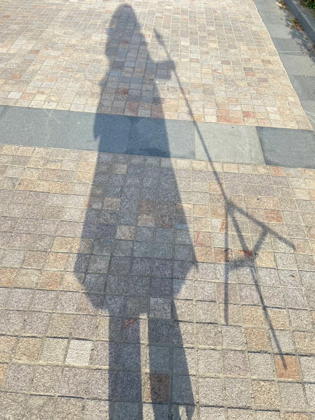 32岁｜旅行解决不了孤独感