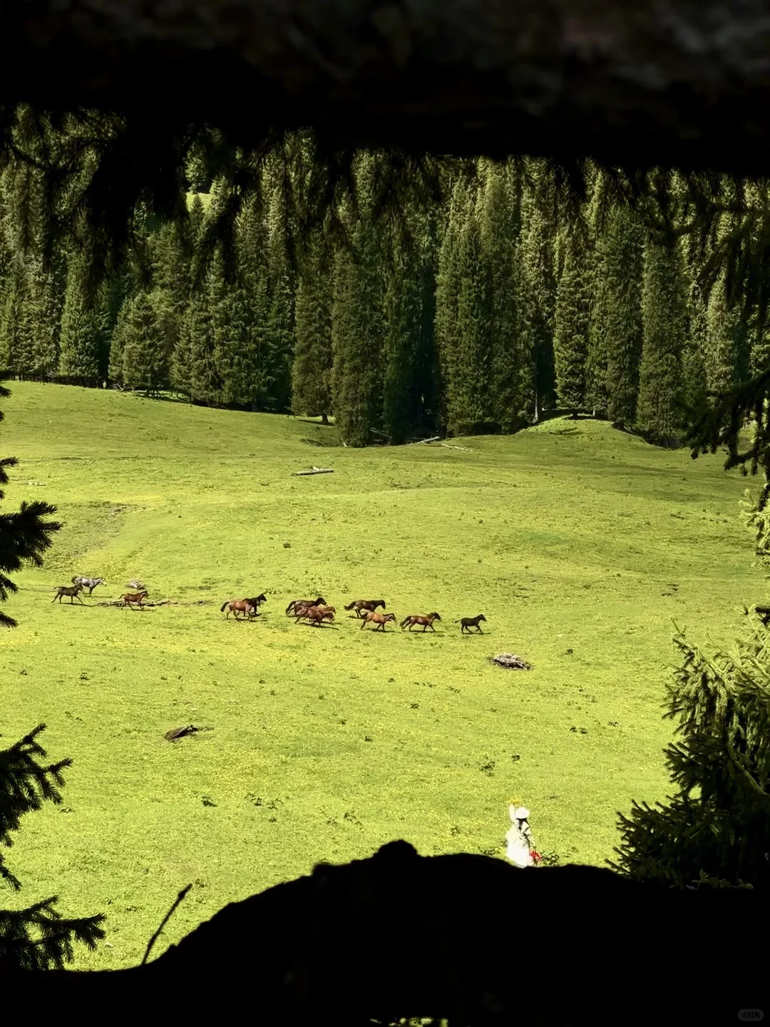 live图的意义，2024我去过的几个绝美地～