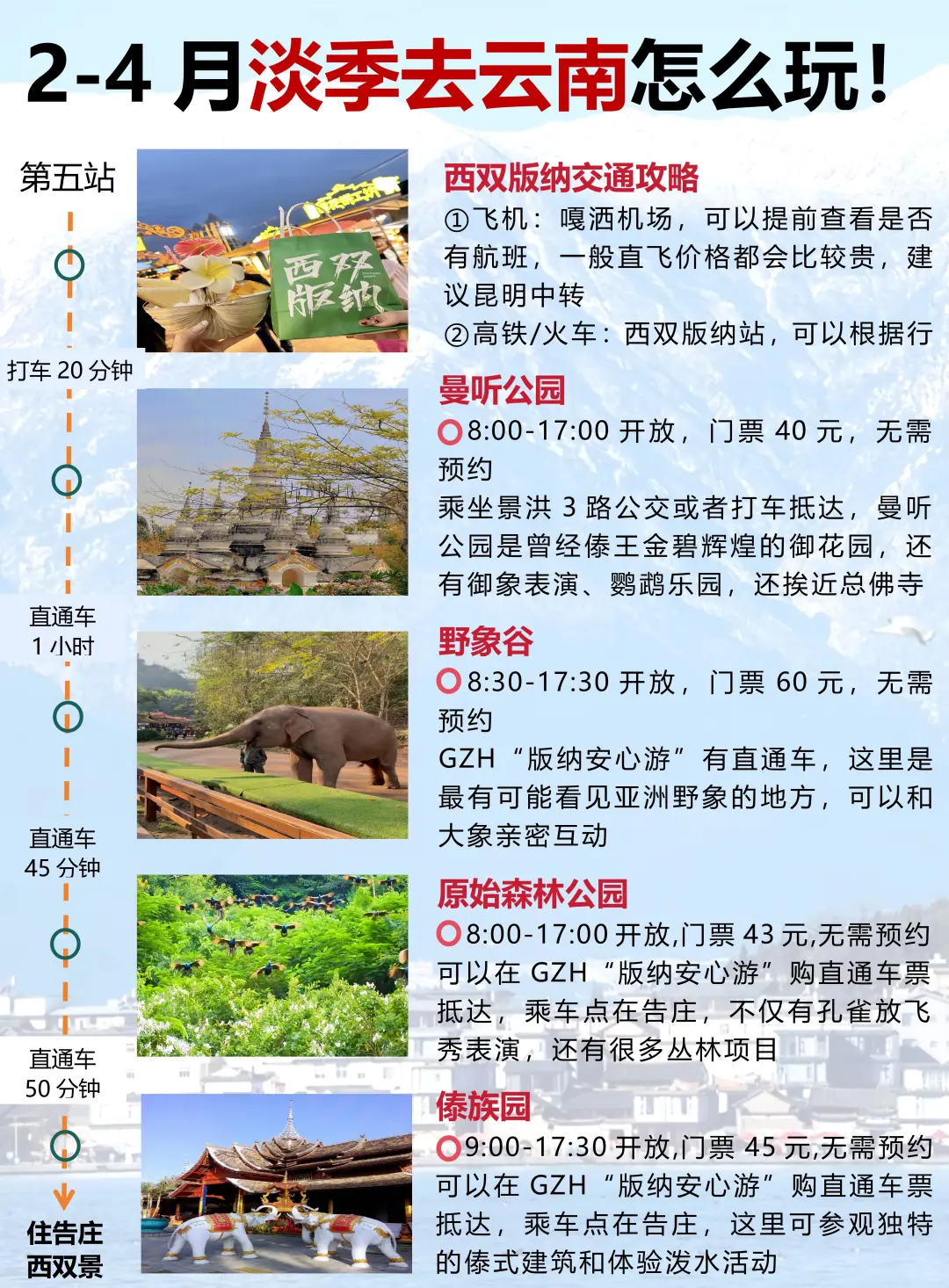 2-4月淡季去云南❗️一次性讲清楚怎么玩✍