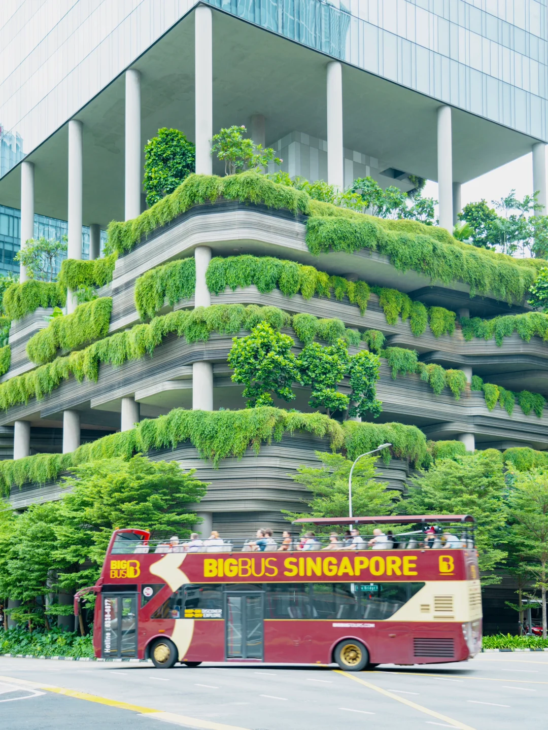 为了这18张照片…我特意飞趟新加坡✈️值得么