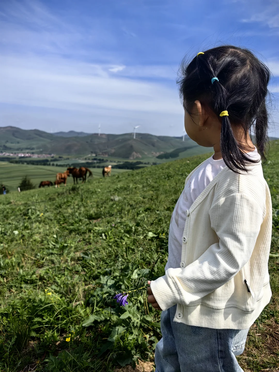 2岁小娃的2024年度旅行总结