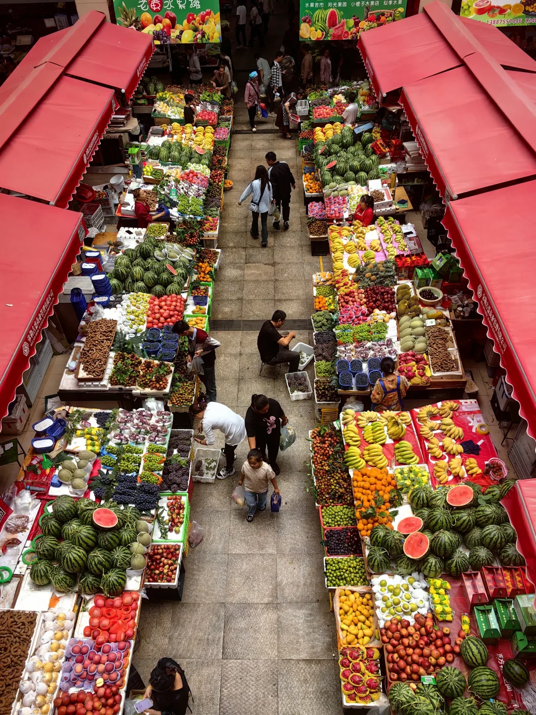 2岁小娃的2024年度旅行总结