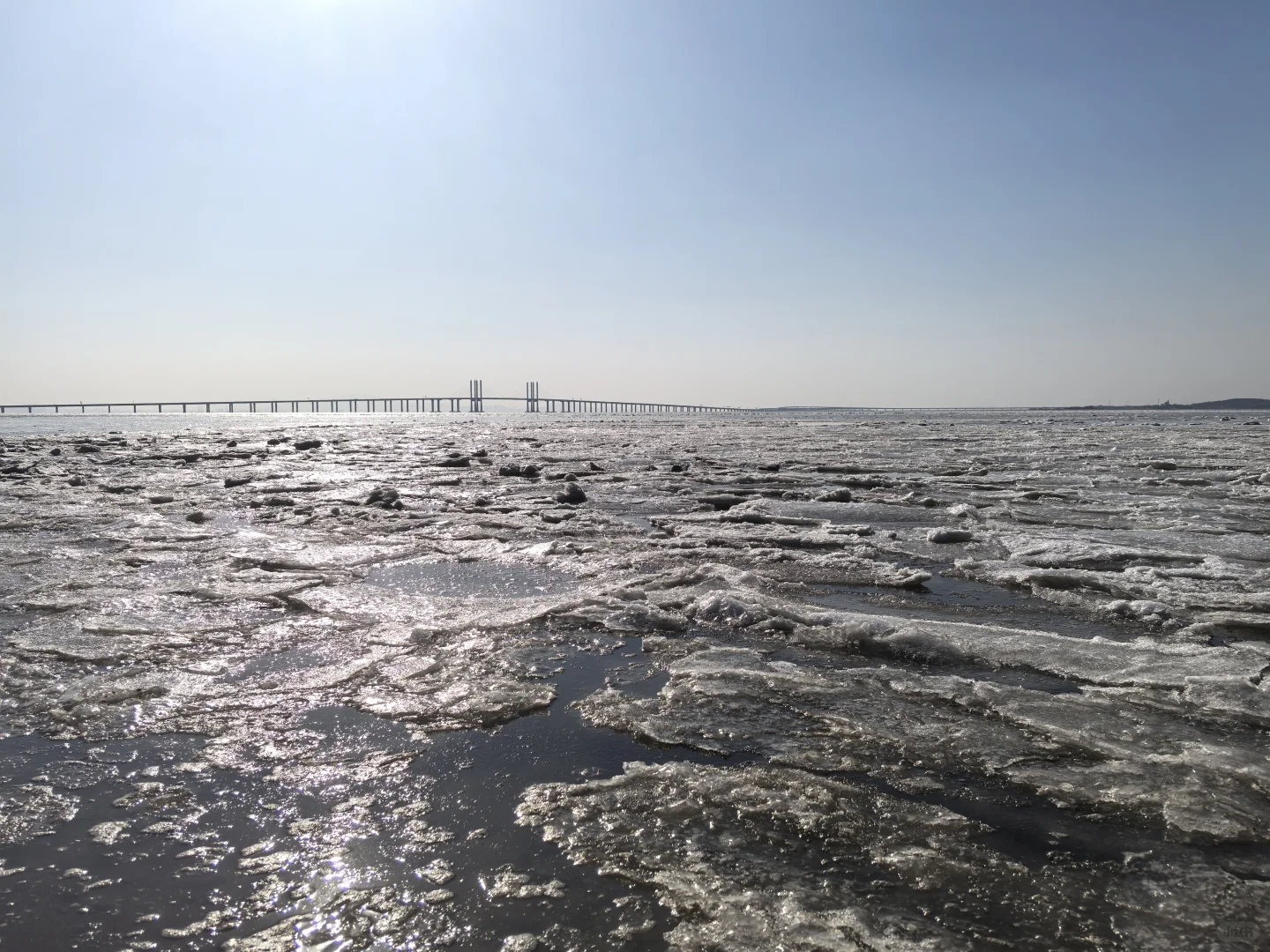 走，去看结冰的胶州湾