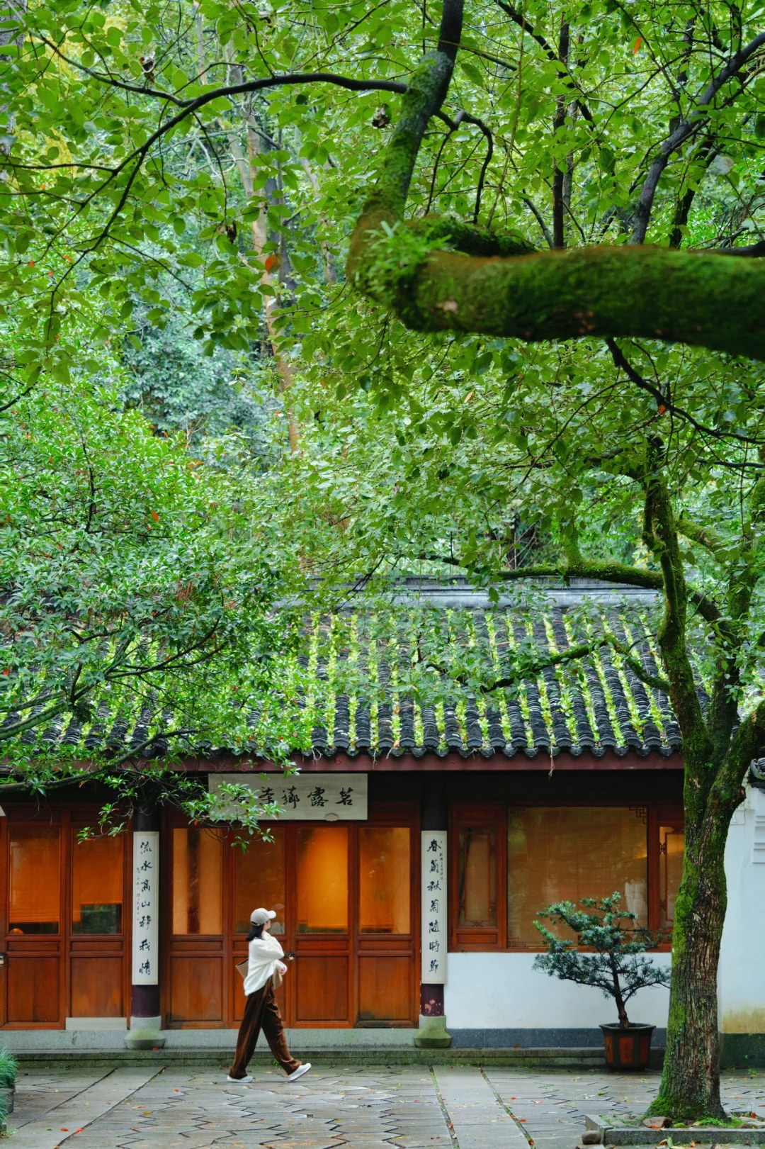 真的没人！西湖走过最舒服的city walk路线！