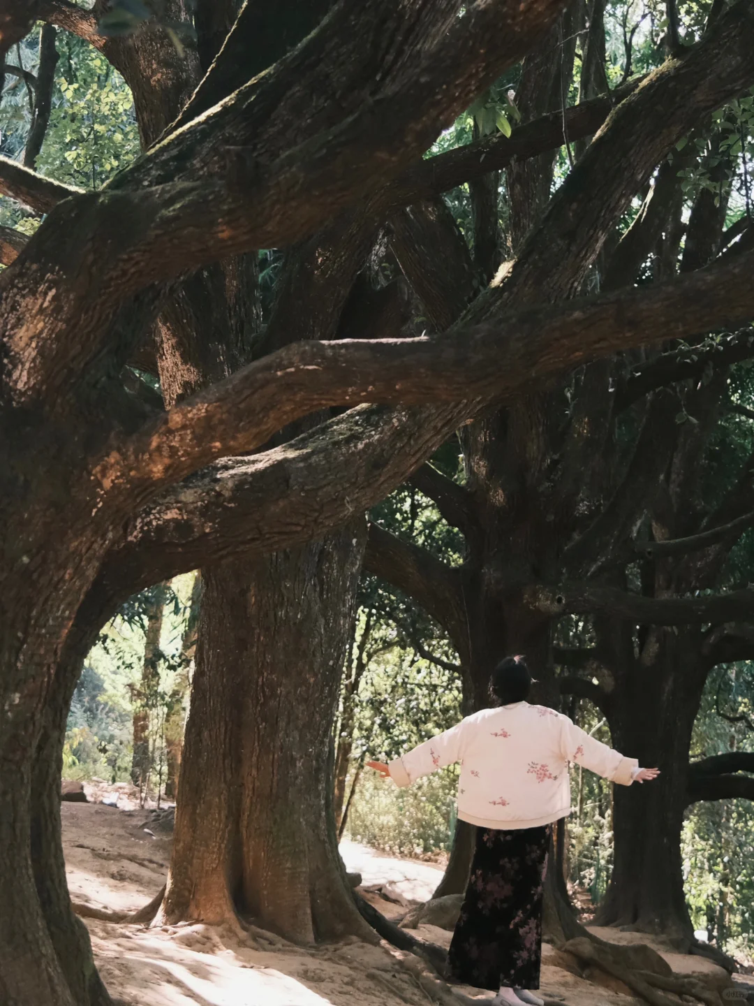 腾冲 | 和顺古镇吸氧指南🌳