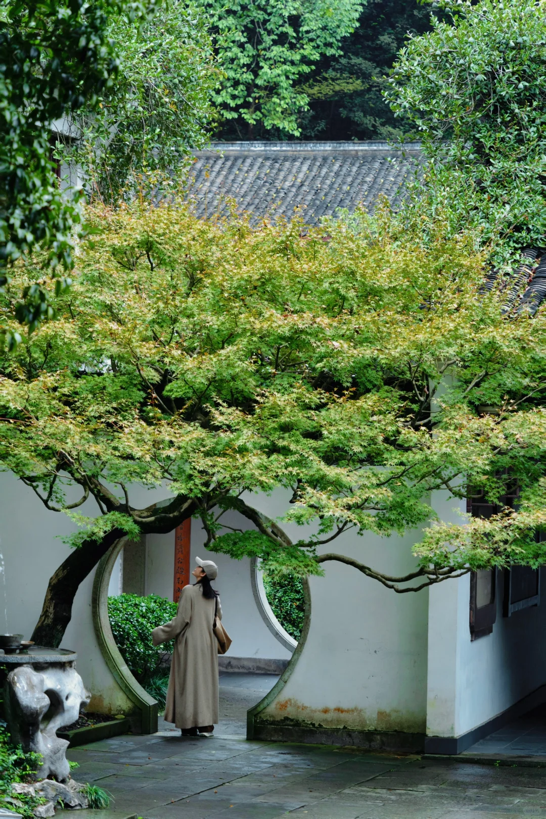 真的没人！西湖走过最舒服的city walk路线！