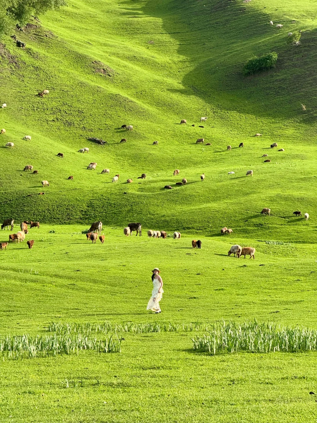 live图的意义，2024我去过的几个绝美地～