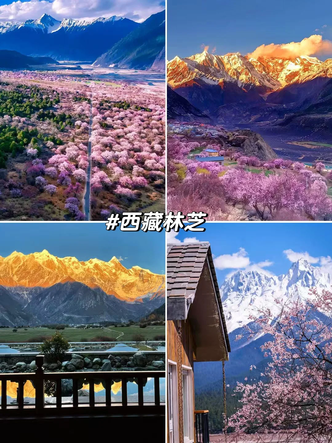 旅游推荐！接下来的3-4月是无数次的春和景明