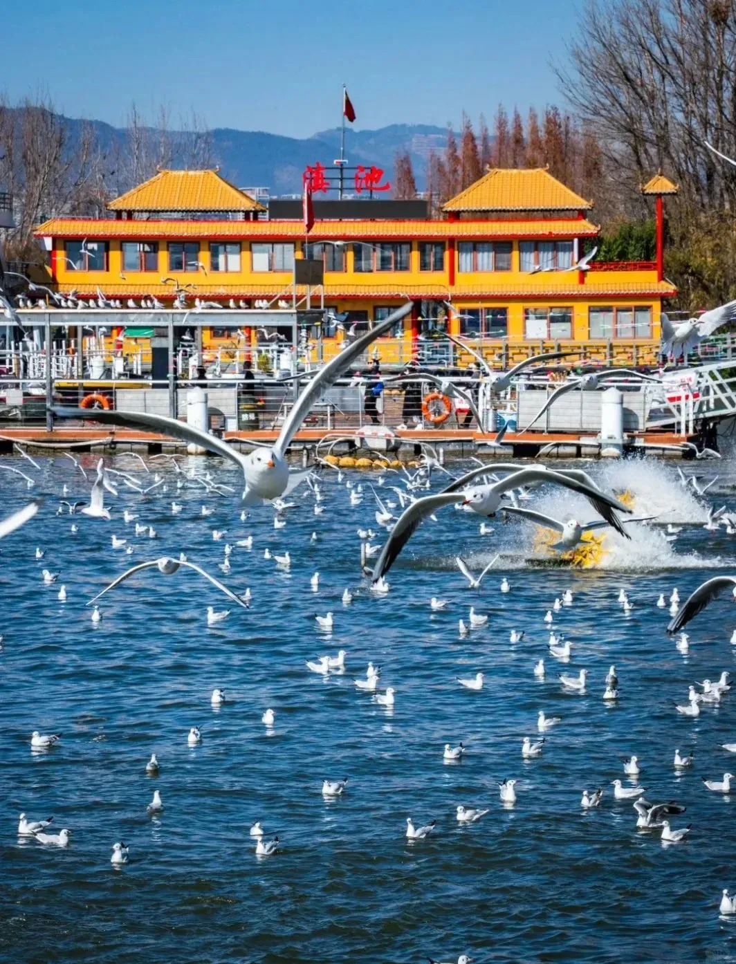如果不差钱,退休后首选这4座城市久居,物