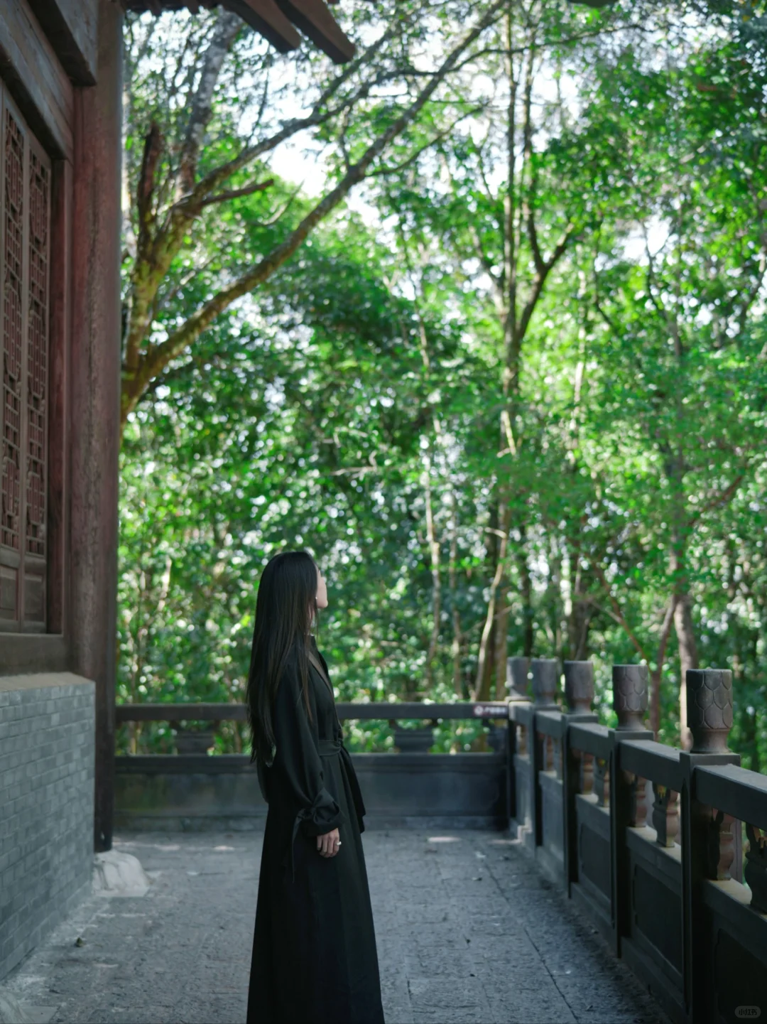 🌿穿越千年！普洱茶马古道周末游攻略📸