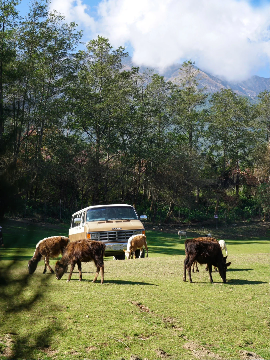 大理我很喜欢的一个地方，真的像新西兰！