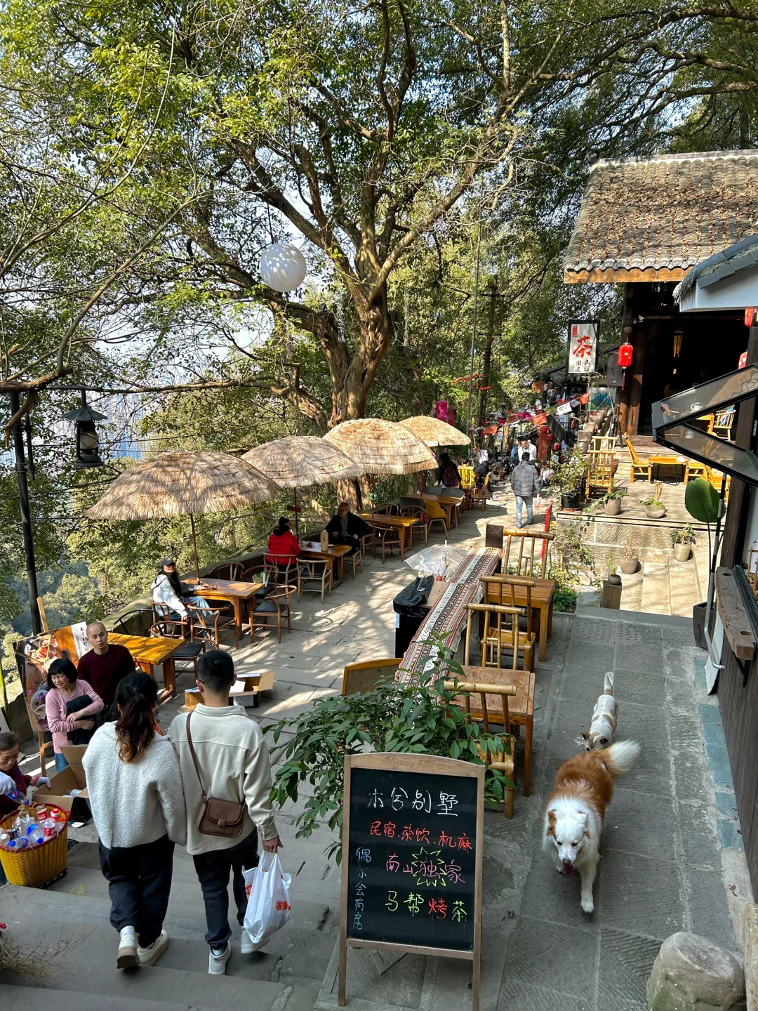 重庆坠好看的景点根本不需要花钱。。。（合集）