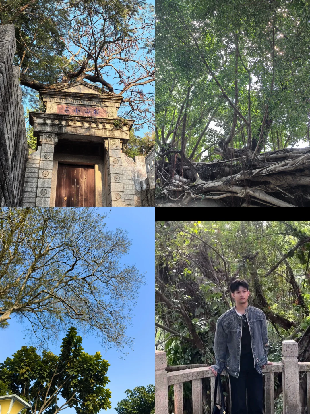 鼓浪屿最详细攻略：船票、景点、美食全解析