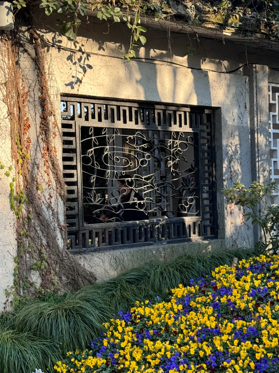 杭州2️⃣天1️⃣夜·特种兵旅游PLOG