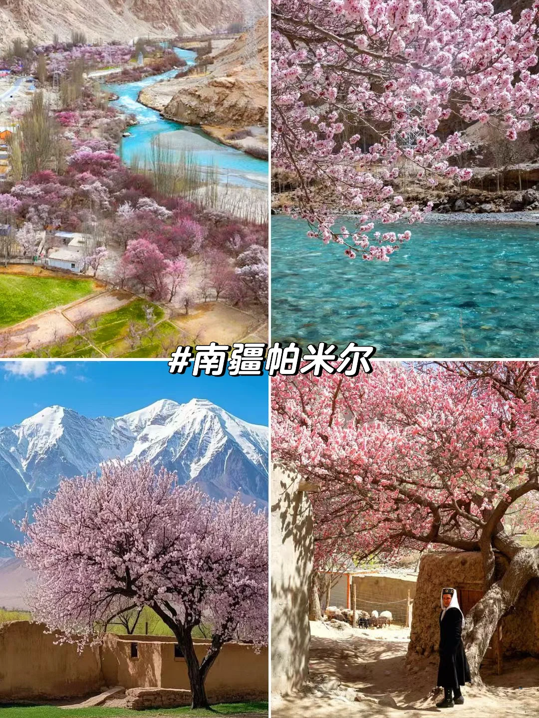 旅游推荐！接下来的3-4月是无数次的春和景明