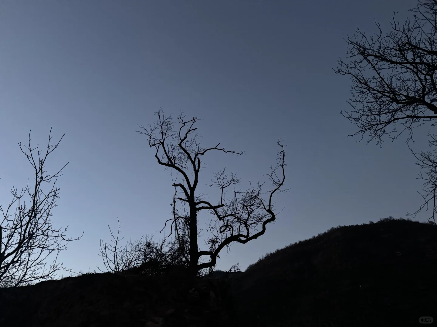 河北无人村探一探