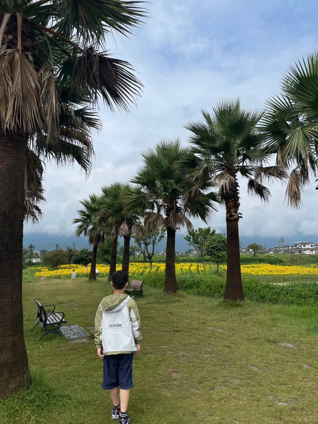 带娃云南旅游8天行程全攻略！❤️附详细路线