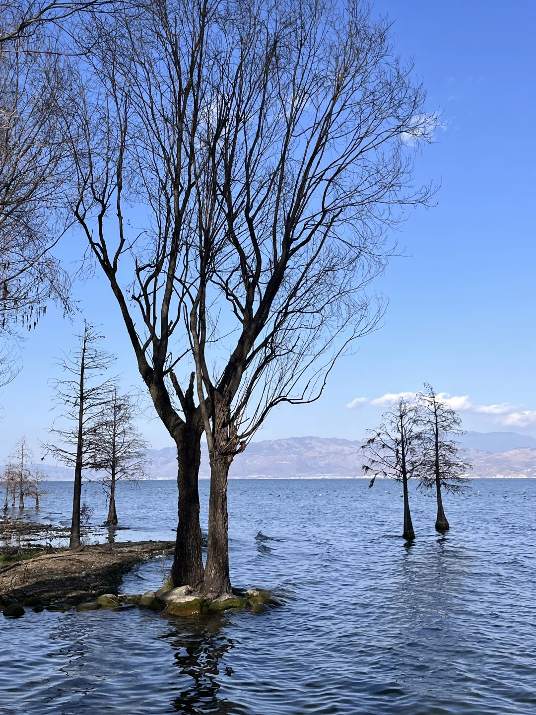 去大理一定要避雷｜J人手写版📖攻略