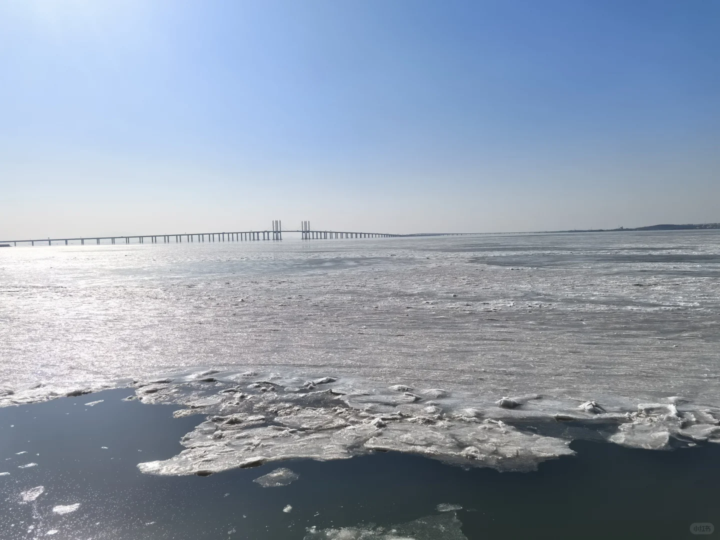 走，去看结冰的胶州湾