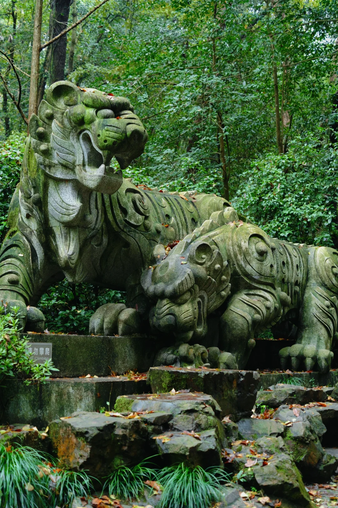 真的没人！西湖走过最舒服的city walk路线！