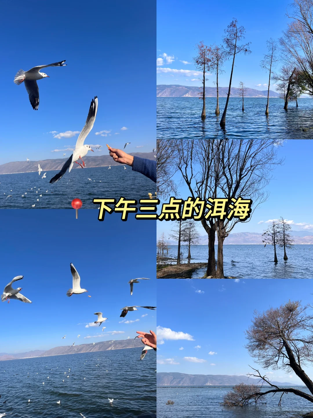 去大理一定要避雷｜J人手写版📖攻略