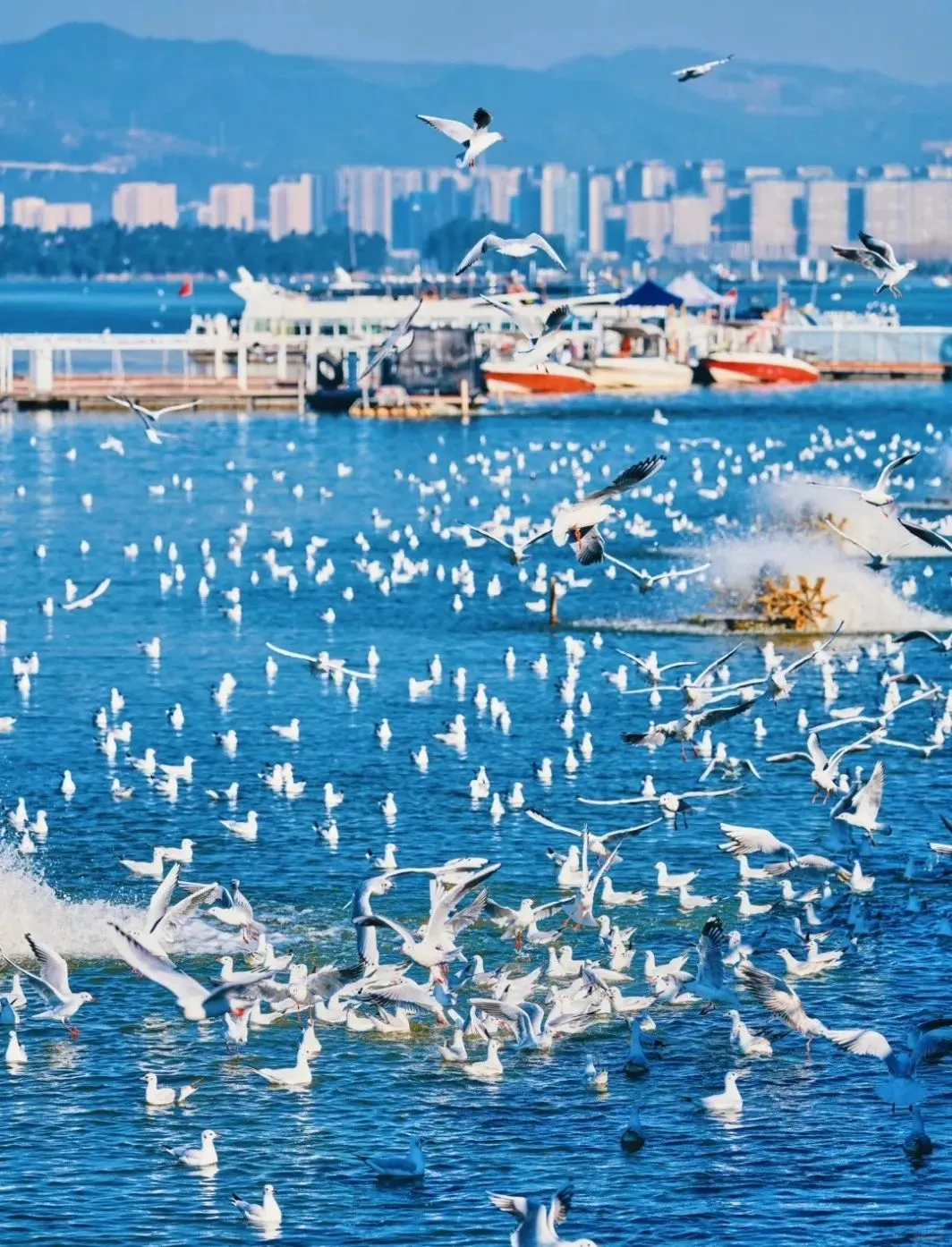如果不差钱,退休后首选这4座城市久居,物