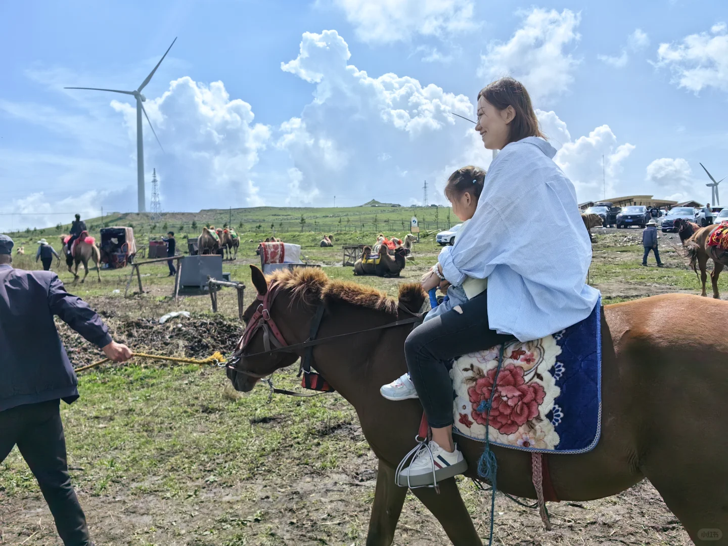 2岁小娃的2024年度旅行总结