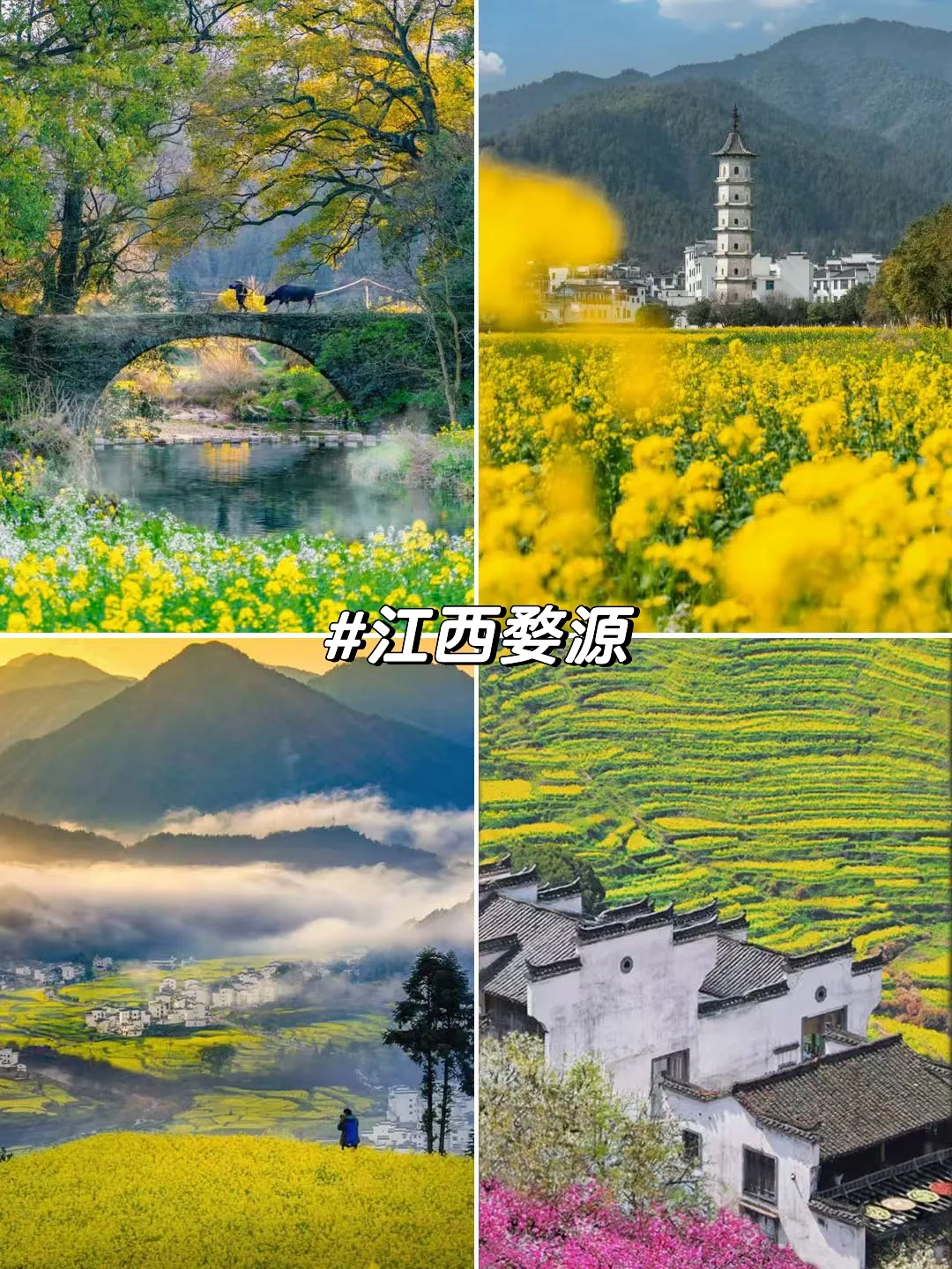 旅游推荐！接下来的3-4月是无数次的春和景明
