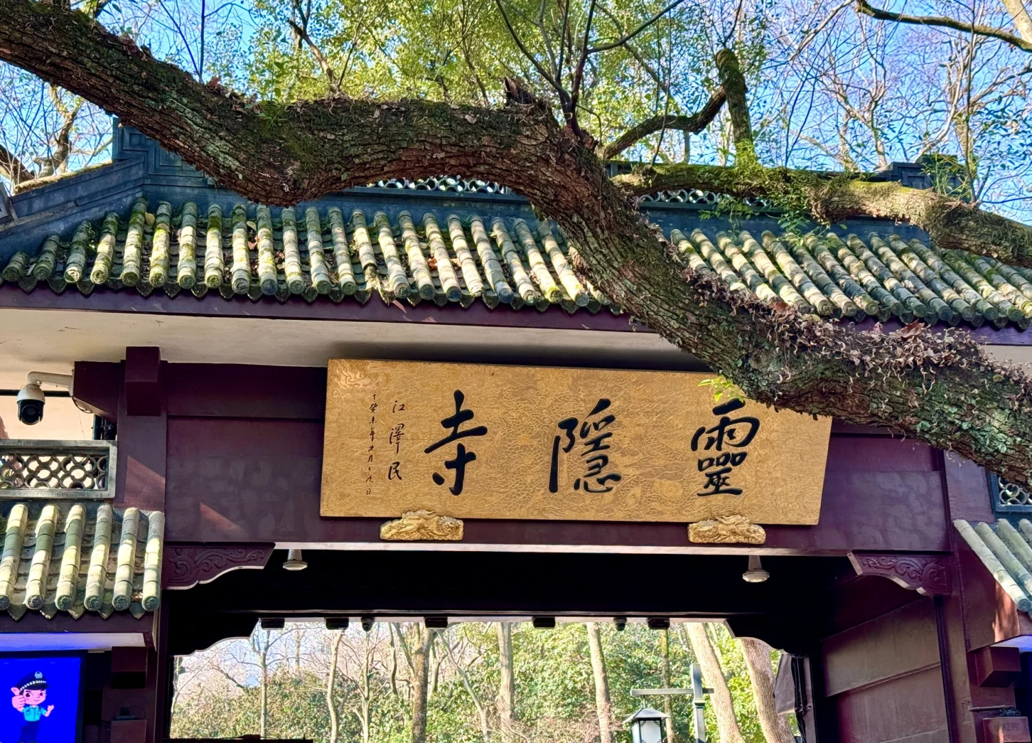 杭州2️⃣天1️⃣夜·特种兵旅游PLOG